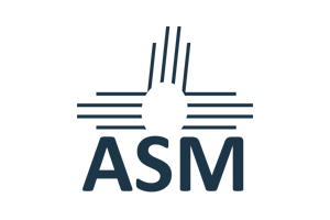 CoW-ABQ-Scale-Modelers-Logo